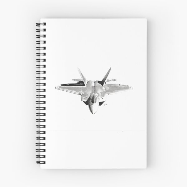 Aperçu de l'œuvre F22 créée et vendue par Aure-Dessins.