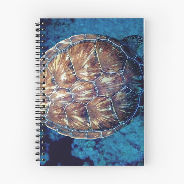 Item preview, green turtle (Chelonia mydas) designed and sold by stelio.