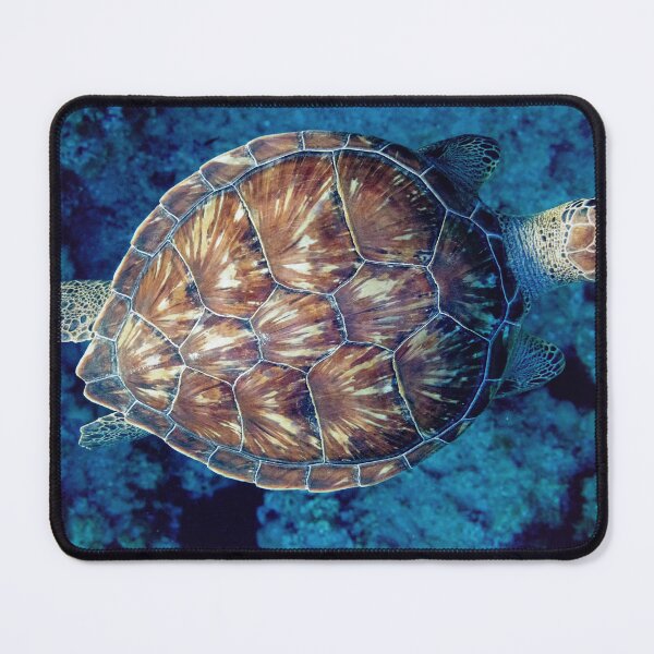 Item preview, green turtle (Chelonia mydas) designed and sold by stelio.