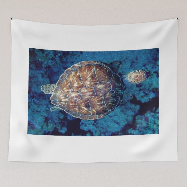 Item preview, green turtle (Chelonia mydas) designed and sold by stelio.