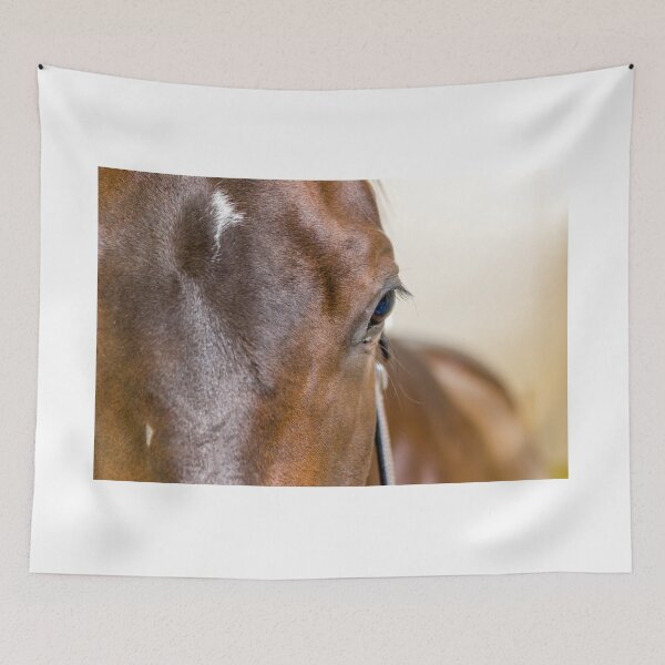 Item preview, soul designed and sold by stelio.