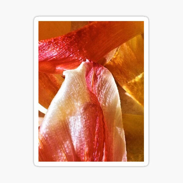 PETALI COME CAREZZE 3 Sticker