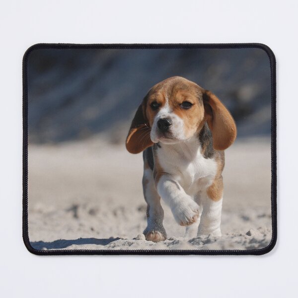 Item preview, Beagle puppy designed and sold by PetsArt.