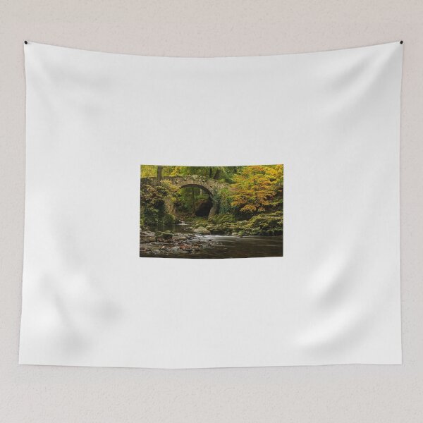 Item preview, Foleys Bridge, Tollymore Forest Park designed and sold by Adrian McGlynn.
