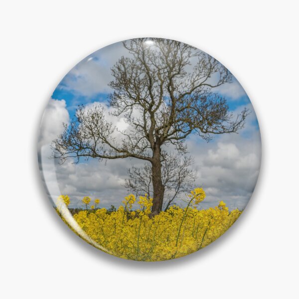 Item preview, Lone Tree In A Rapeseed Field designed and sold by AJEvans.