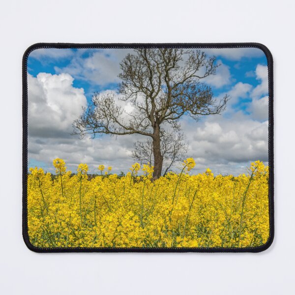 Item preview, Lone Tree In A Rapeseed Field designed and sold by AJEvans.