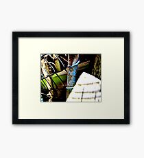 Decayed Fence! Framed Print