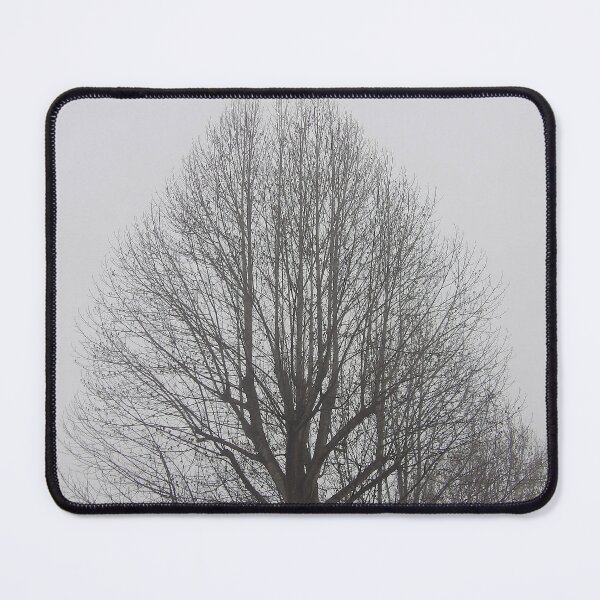 Item preview, Tulip Tree on a Foggy Winter Morning designed and sold by gistinker.