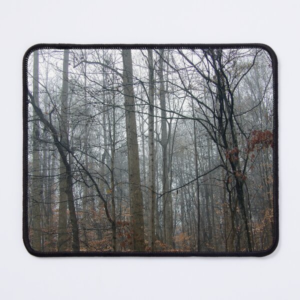 Item preview, Winter Deciduous Forest on a Foggy Morning designed and sold by gistinker.