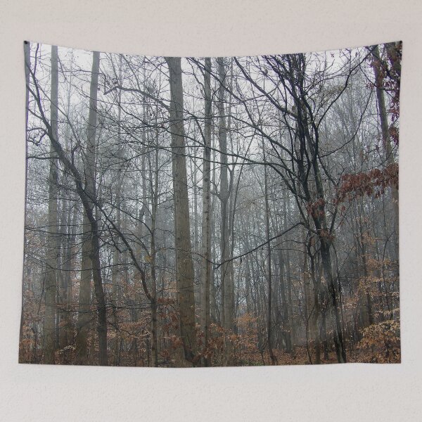 Item preview, Winter Deciduous Forest on a Foggy Morning designed and sold by gistinker.