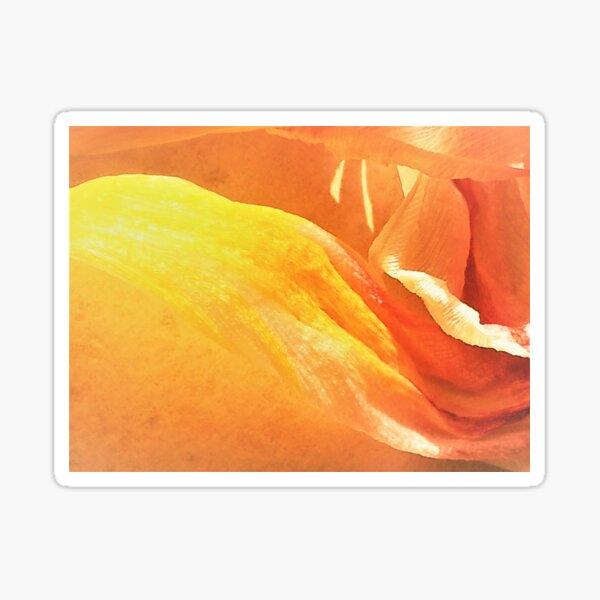 PETALI COME CAREZZE Sticker