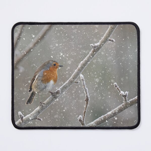 Item preview, Robin in the snow designed and sold by kathleenjean.