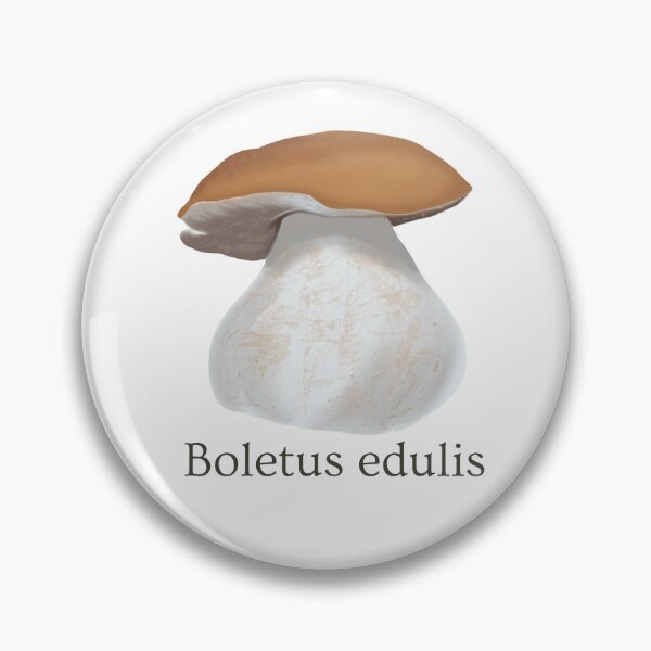 Item preview, Porcini / King Bolete designed and sold by The-Dirt-Witch.