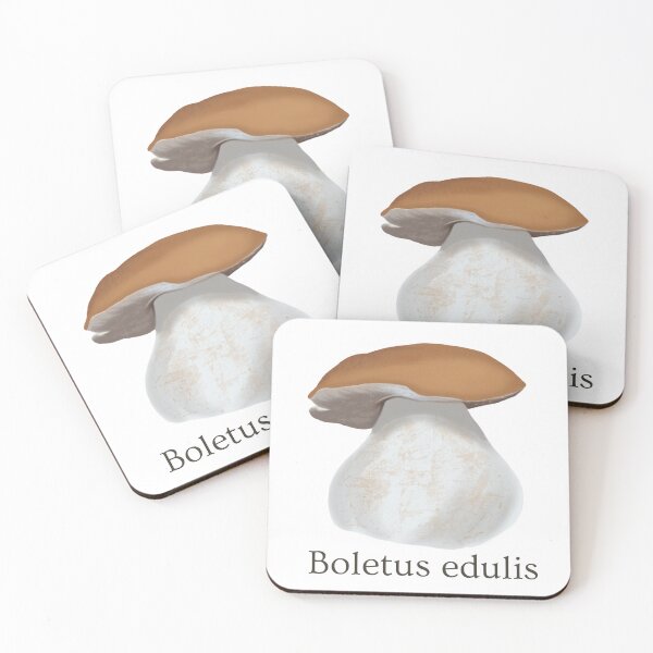 Item preview, Porcini / King Bolete designed and sold by The-Dirt-Witch.