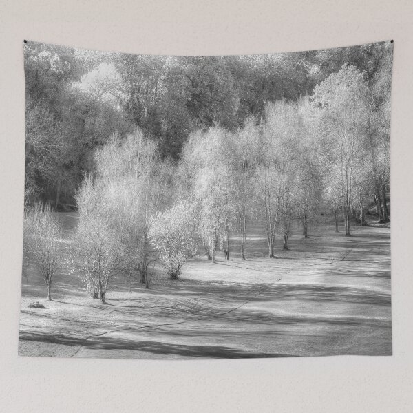 Item preview, Dartmoor Morning Frost Vista designed and sold by Londonimages.