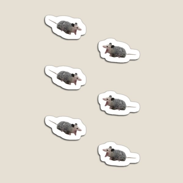 Screaming Possum meme pack Magnet