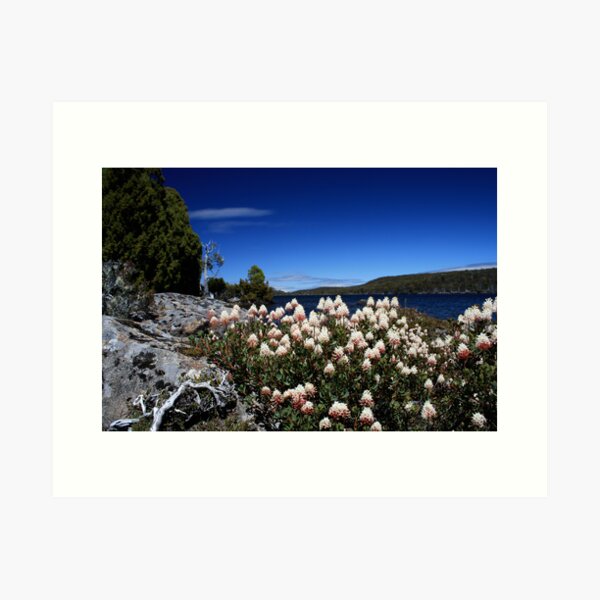 Item preview, Lake Fanny Tasmania designed and sold by Ben Rae.