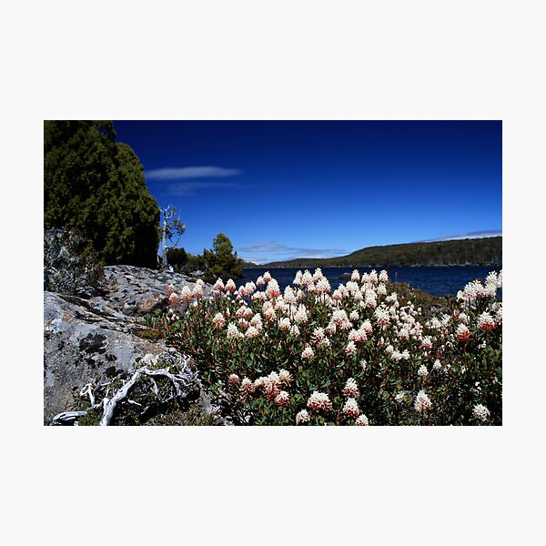 Item preview, Lake Fanny Tasmania designed and sold by Ben Rae.