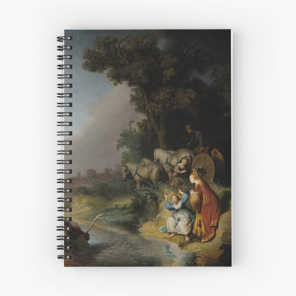 Item preview, Rembrandt Harmenszoon van Rijn, rembrandt artwork, rembrandt van rijn portrait designed and sold by The art world.