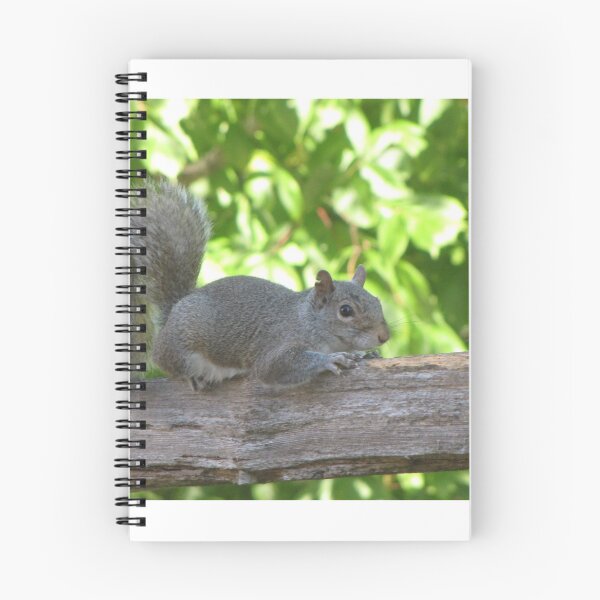 Item preview, cute grey squirrel  designed and sold by beaglybeagle.
