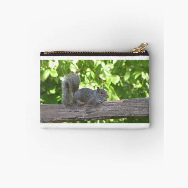 Item preview, cute grey squirrel  designed and sold by beaglybeagle.