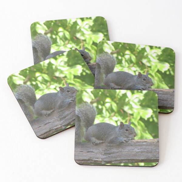 Item preview, cute grey squirrel  designed and sold by beaglybeagle.