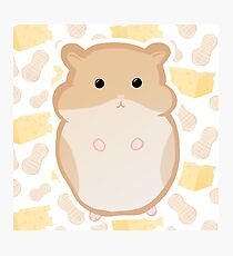 Cute brown hamster! Photographic Print