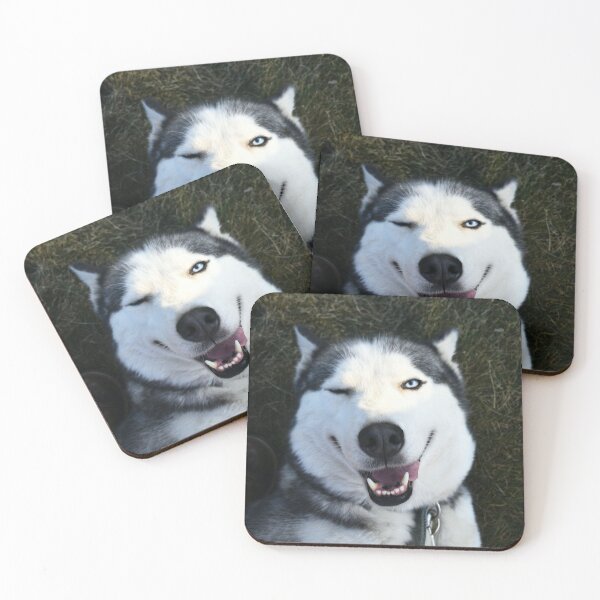 Item preview, A Funny Face Siberian Husky designed and sold by TheAnimalZ00.