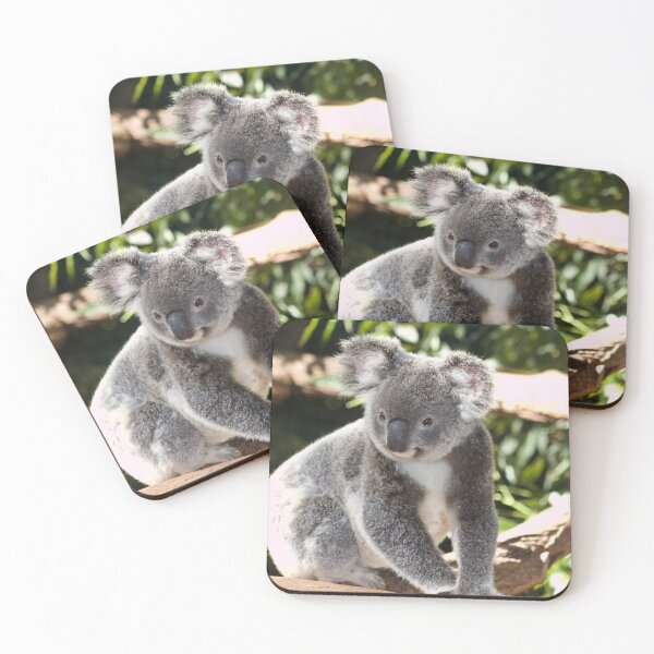 Item preview, Koala Photo designed and sold by TheAnimalZ00.