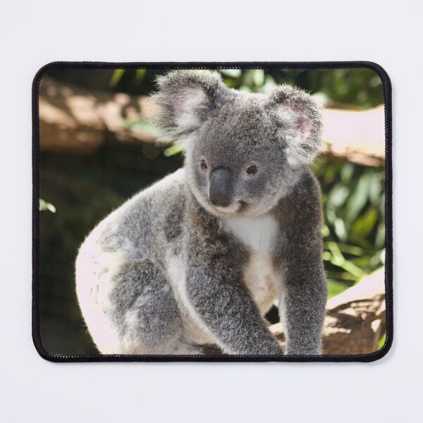 Item preview, Koala Photo designed and sold by TheAnimalZ00.