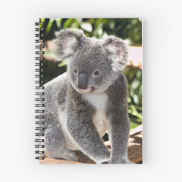 Item preview, Koala Photo designed and sold by TheAnimalZ00.