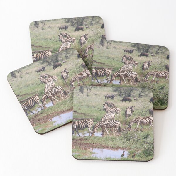 Item preview, Zebras Drinking By The Pond Photo designed and sold by TheAnimalZ00.
