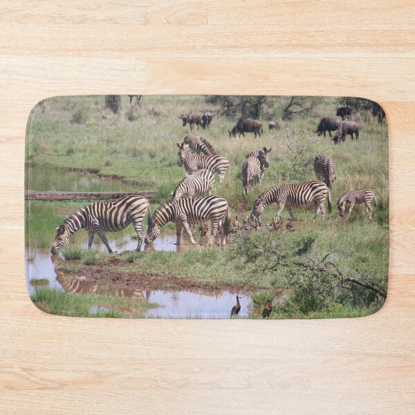 Item preview, Zebras Drinking By The Pond Photo designed and sold by TheAnimalZ00.