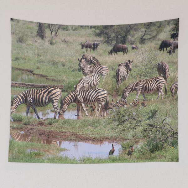 Item preview, Zebras Drinking By The Pond Photo designed and sold by TheAnimalZ00.