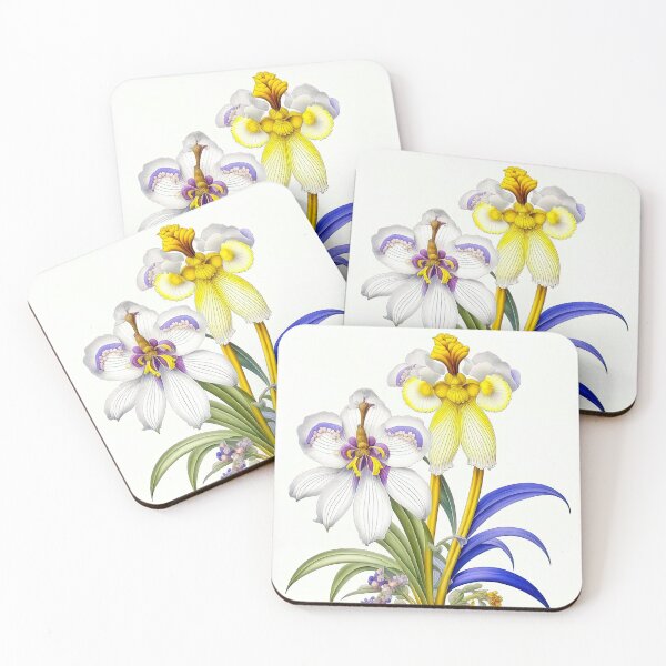 Item preview, Exotic Orchids In Vintage Style designed and sold by LanaGustavsson.