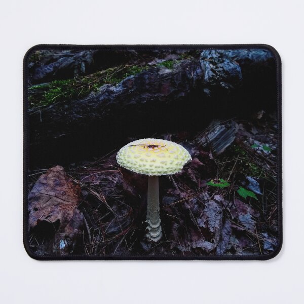 Item preview, A fungus in leaves designed and sold by ORTHROPOD.