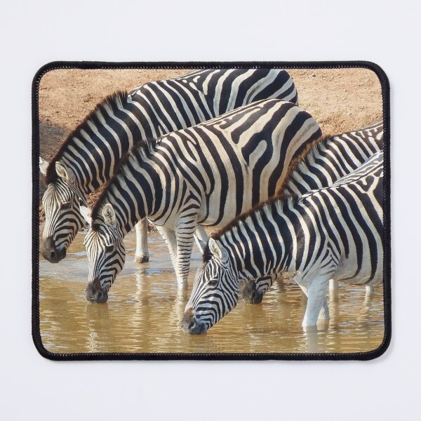 Item preview, Zebras Drinking In The Watering Hole Photo designed and sold by TheAnimalZ00.