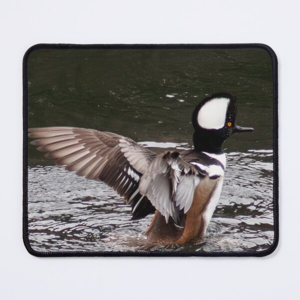 Item preview, Landing Attempt UpClose designed and sold by Tim Dusenberry.