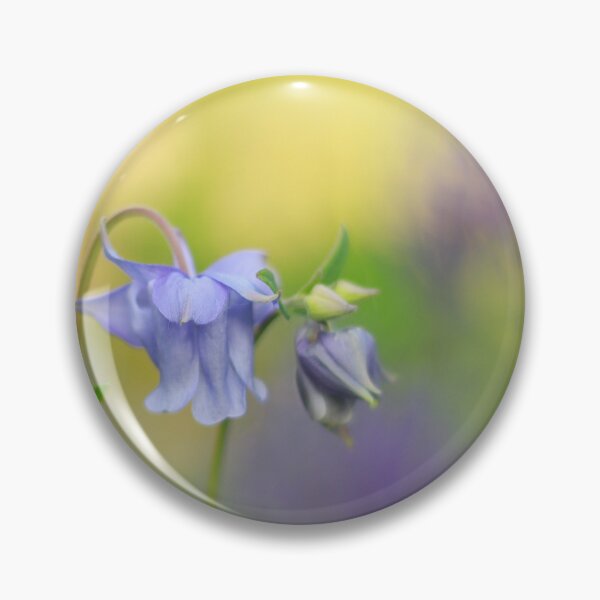 Item preview, All about the Aquilegia designed and sold by miradorpictures.