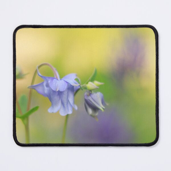 Item preview, All about the Aquilegia designed and sold by miradorpictures.
