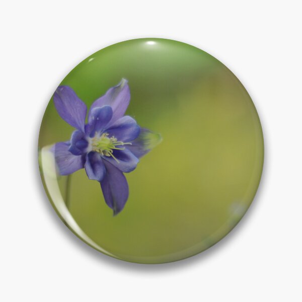 Item preview, Amazing Aquilegias designed and sold by miradorpictures.