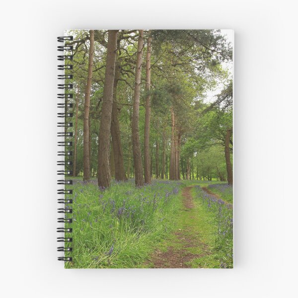 Item preview, Passing pines  designed and sold by miradorpictures.