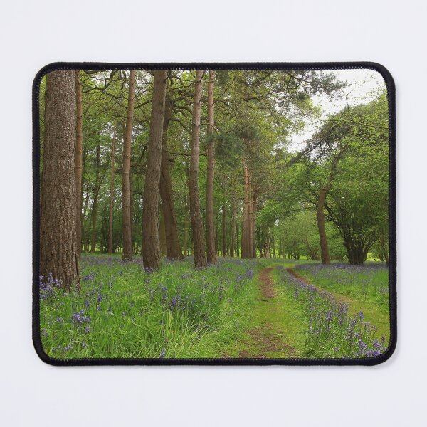 Item preview, Passing pines  designed and sold by miradorpictures.
