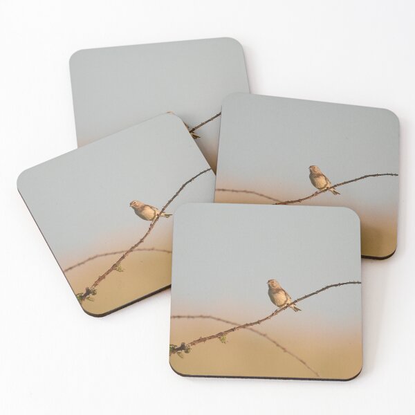 Item preview, Last light Linnet designed and sold by miradorpictures.