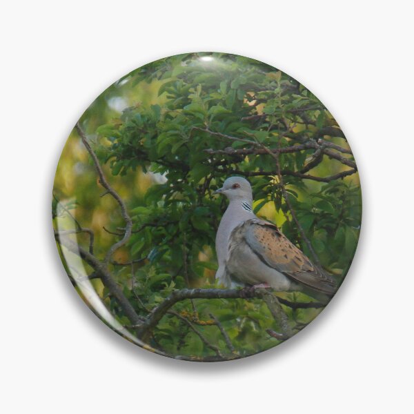 Item preview, One Turtle Dove designed and sold by miradorpictures.
