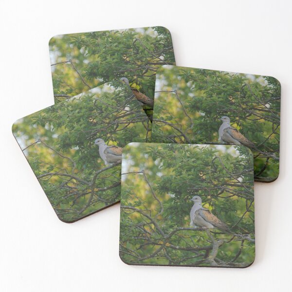Item preview, One Turtle Dove designed and sold by miradorpictures.