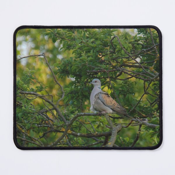 Item preview, One Turtle Dove designed and sold by miradorpictures.