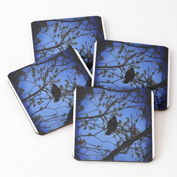 Item preview, Bird Call designed and sold by Songbird Photos.