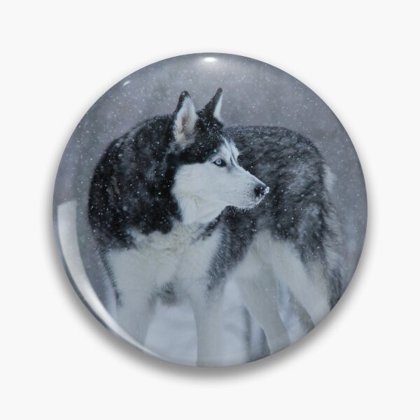 Item preview, Blue Eye Siberian Husky in the Snow designed and sold by myhuskymax.