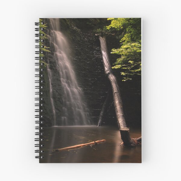 Item preview, Sunbeam designed and sold by miradorpictures.